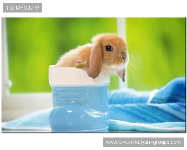 ¦ó+¡-+¦¯ðÐ+ÀÍÌ